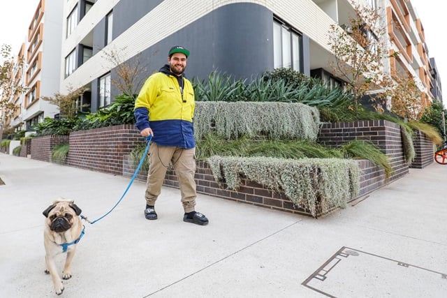 Man walking dog on a street and tall building behind him.
