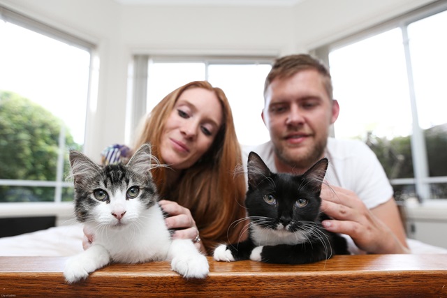Two people and two cats