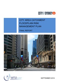 City Area Floodplain Risk Management Plan