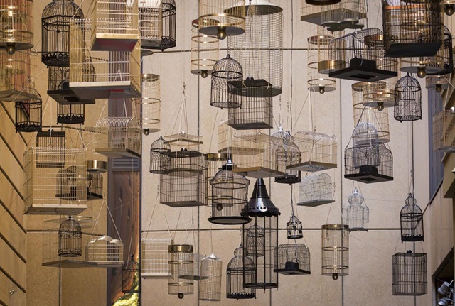 Dozens of empty birdcages are strung between buildings. The birdcages are all different shapes and sizes, and are either black, white or gold.