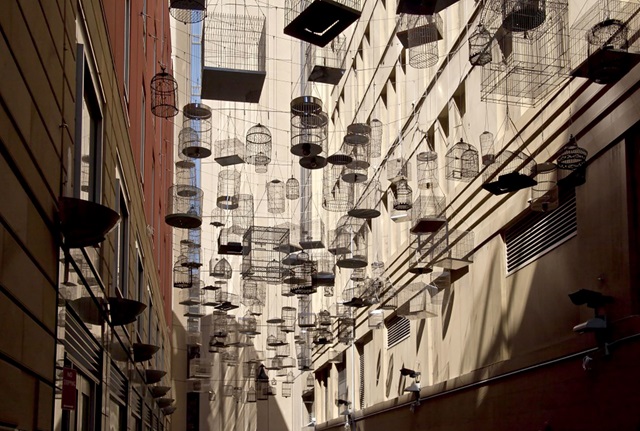 Looking up along Angel Place, dozens of empty birdcages are strung on wires between buildings criss-crossing the laneway.