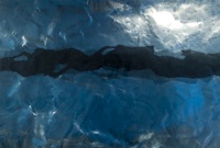 Close view of textured blue Perspex panels with a wavy black line down them, resembling the lane line of a swimming pool viewed through the water.