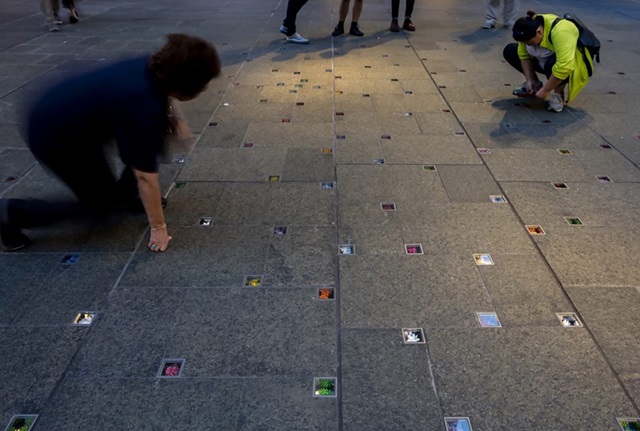 Visitors kneel to photograph the paving in Martin Place, where hundreds of small glass blocks containing colourful flowers are set between the paving stones.
