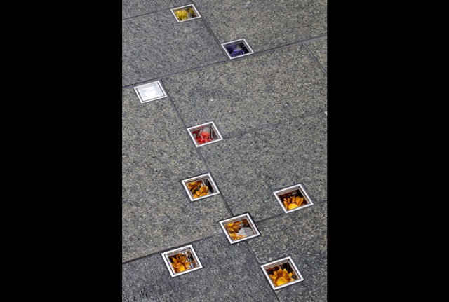 Several small glass blocks containing colourful flowers are set between paving stones. Five similar yellow flowers form a cluster amidst other flowers of other colours.