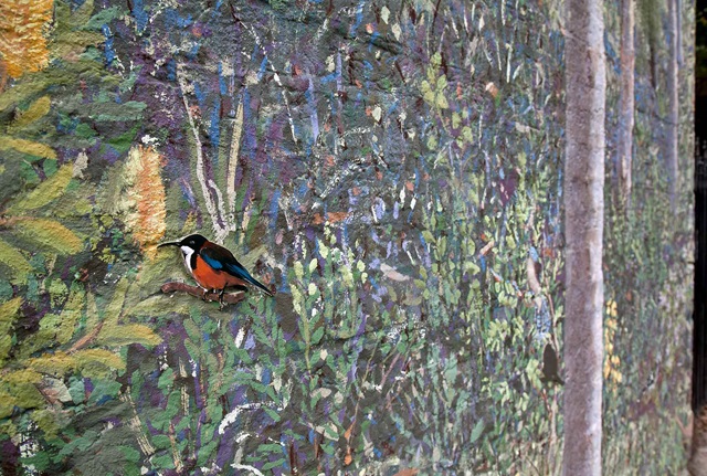 mural on a wall depicting a bush scene with Australian flora and fauna with  a bird as the focus at the centre
