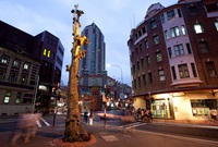A sculpture and fountain made from the trunk of a eucalyptus tree covered in gold leaf at night on a street corner.