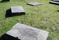 several large pieces of rectangular sandstone with botanical engraving of a plant on top of each