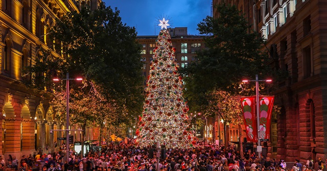 A large Christmas tree adorned with lights and ornaments stands in a city square surrounded by a crowd of people, with tall buildings and trees in the background.