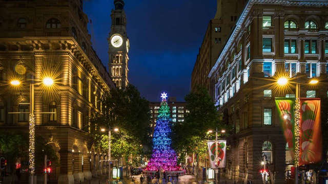 A large, lit Christmas tree stands in the centre of a city street at night, surrounded by historic buildings and illuminated streetlights.
