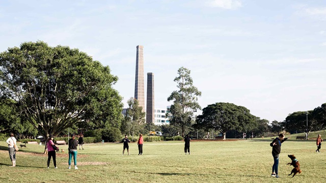 Groups of people enjoying Sydney Park