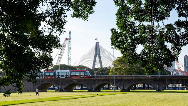 View of Wentworth Park with light rail passing by in the background