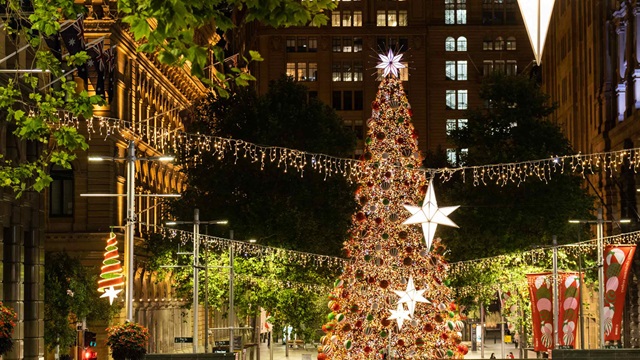Large illuminated and decorated Christmas tree at night in Sydney city centre.