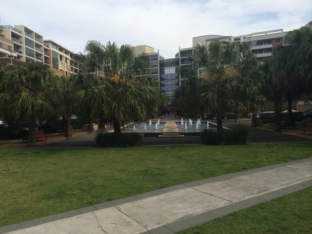 A large pool with water fountains surrounded by trees and buildings. 