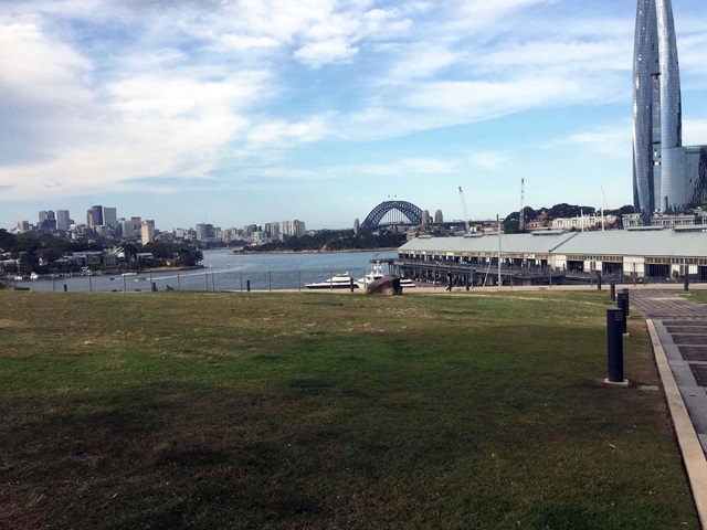 Wide open grassed area on harbour foreshore with the Harbour Bridge on the horizon,