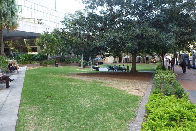 Open grassed area amongst trees.