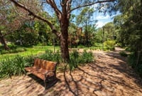A path running through a small park area with large tree and wooden park bench in the centre
