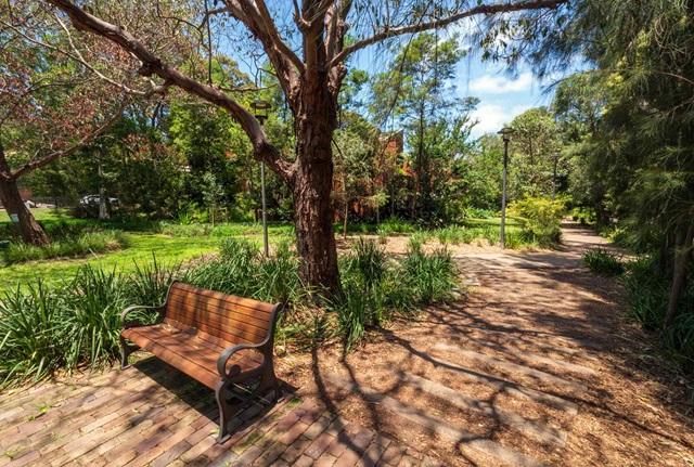 A path running through a small park area with large tree and wooden park bench in the centre