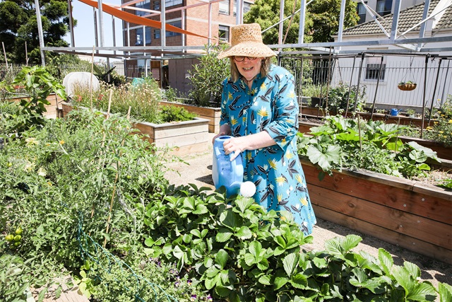 Lawrence Hargrave Reserve