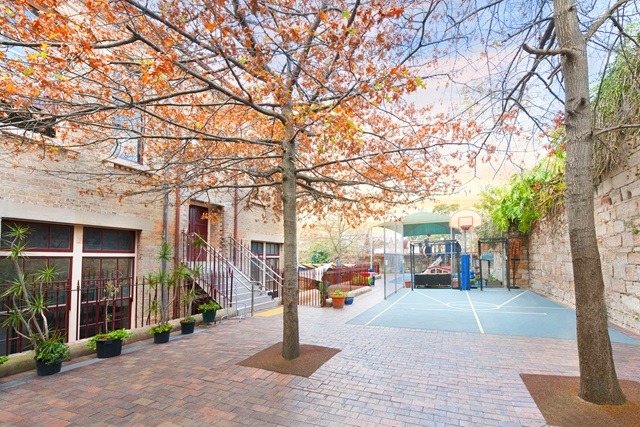 A tree with autumn leaves in a courtyard.