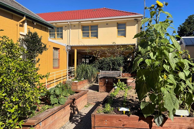 A community garden with raised beds full of plants, in front of a two-storey yellow building.