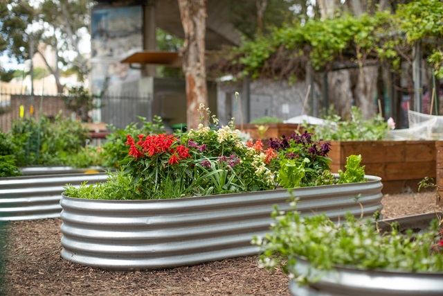 Garden bed