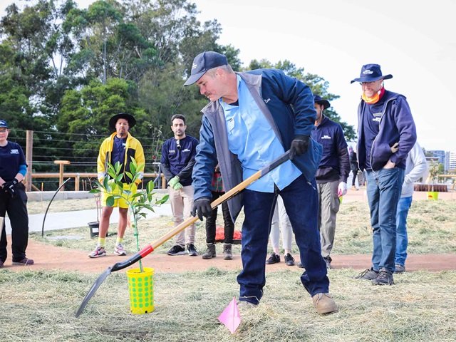 An instructor with a spade shows volunteers how to plant a tree