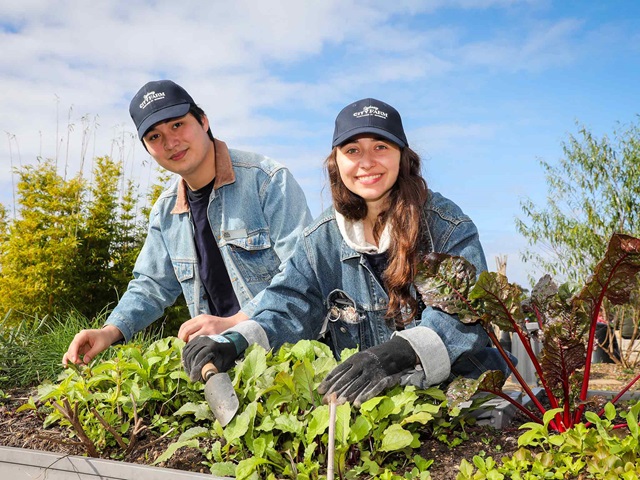 2 young people in denim jackets and caps tend to the garden planter boxes