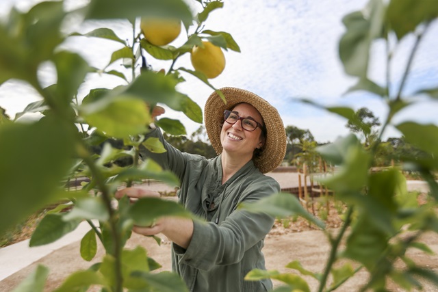 Woman picking lemons off a tree.