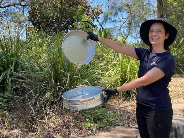 Volunteer in the foreground holds stands two round trays above each other. Petals fall from one tray onto another. Bush, trees and blue sky in the background.