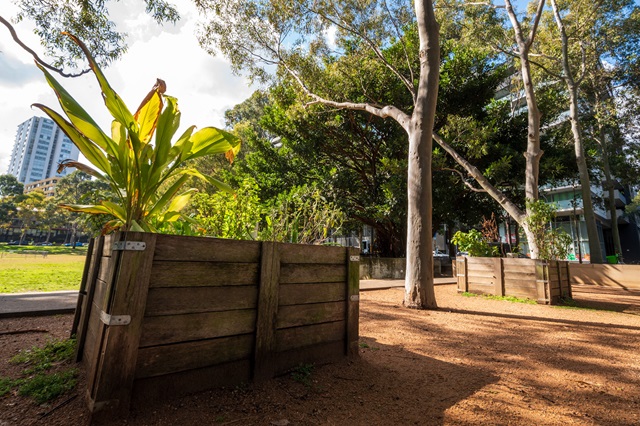 An outdoor scene with a large wooden compost bin in the foreground, surrounded by a dirt area with scattered leaves. Tall trees with lush green foliage and a clear blue sky form the backdrop. A cityscape with buildings is just visible through the trees on the right, suggesting the setting is an urban park. The sunlight streaming through the branches creates interesting patterns on the ground and the compost bin, highlighting the integration of sustainable practices like composting in urban green spaces.