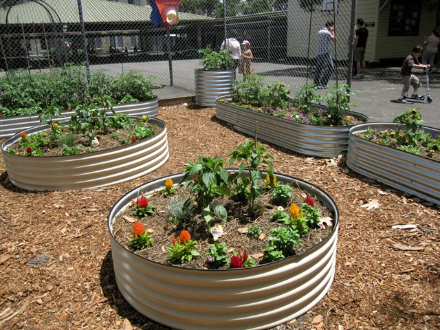A raised garden bed growing plants.