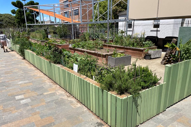 The community garden features several raised beds containing a large variety of plants. A paved footpath runs alongside the garden fence.