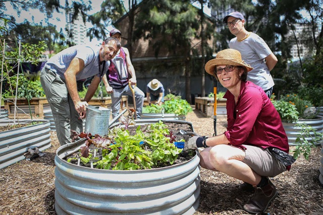 Volunteers gathered around a planter box containing vegetables