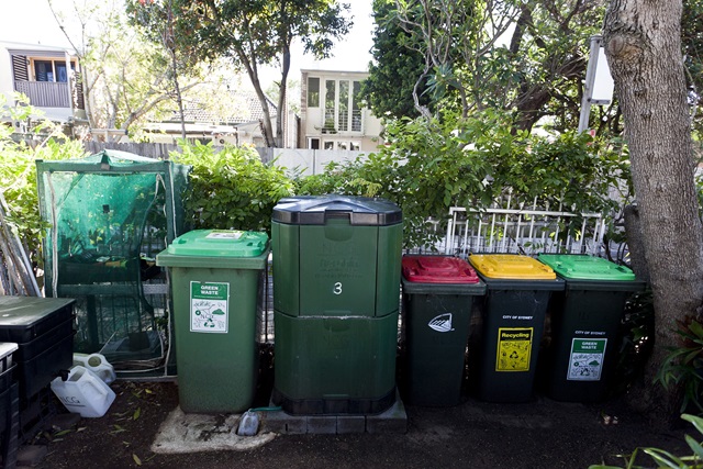 Recycling and composting bins near a tree.
