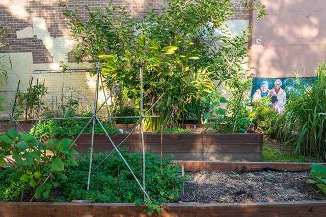 A raised garden bed, brimming with a variety of plants and vegetables. The structure, crafted from wooden planks and filled with rich soil, supports the thriving greenery. In the backdrop, a brick wall is adorned with climbing plants or vines, adding to the verdant ambiance. On the right, a mural or poster depicts two cheerful individuals immersed in gardening.