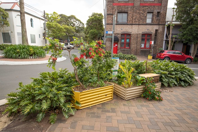 Sustainable Chippendale Verge Gardens