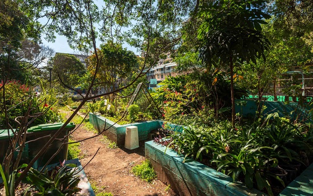 Community garden with lush greenery and colorful flowers, surrounded by paths and green-painted raised beds, under a sunny sky.