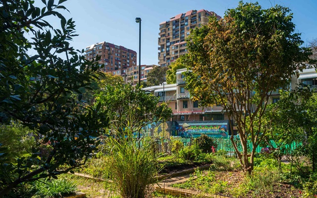 Community garden with lush greenery and colorful flowers, apartment blocks visible in the background