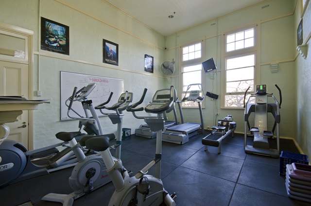 Steppers and cycling machines in the gym.