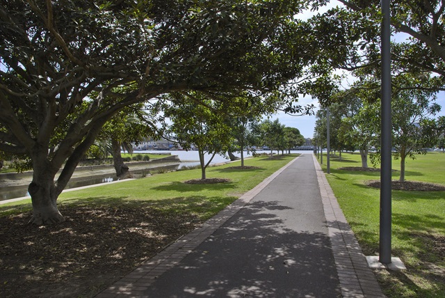 Trees line a walking path.