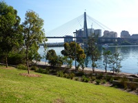 Anzac Bridge can be seen from the park