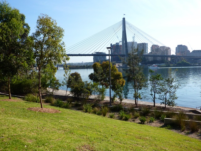 Anzac Bridge can be seen from the park