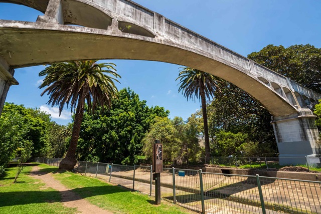  A scenic view of a bridge crossing a park filled with vibrant palm trees, enhancing the natural beauty of the area.