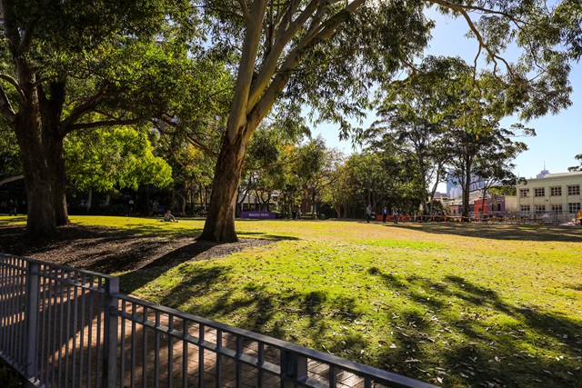 View of the open park area from beneath the trees at Eddie Ward park