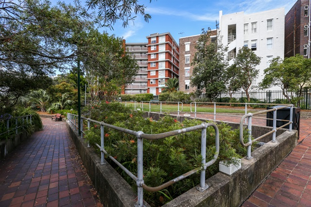 Garden bed surrounded by a fence