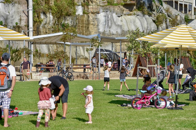 Families and children in the park
