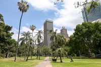 A beautiful view of the park and its lush trees with a skyscraper in the background.