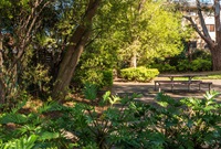 A sunny park scene featuring a picnic table surrounded by lush green trees, perfect for a relaxing day outdoors.