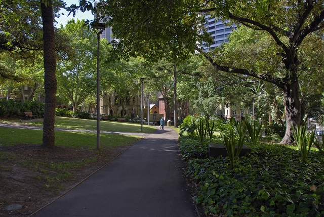 A path in the park surrounded by trees