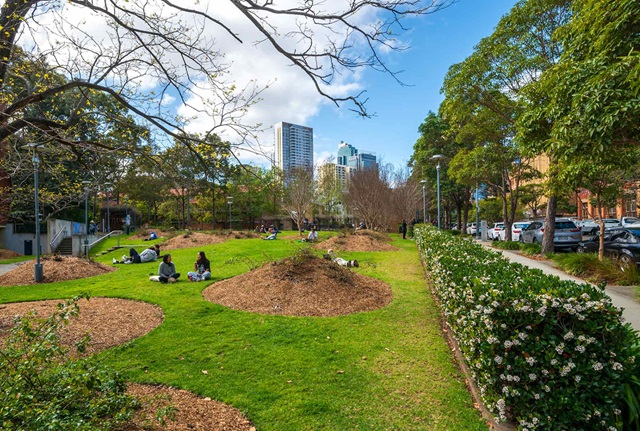 A group of people relax on the grass in a park, surrounded by trees and buildings in the background.